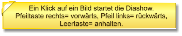 Ein Klick auf ein Bild startet die Diashow. Pfeiltaste rechts= vorwärts, Pfeil links= rückwärts, Leertaste= anhalten.