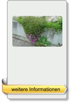 weitere Informationen